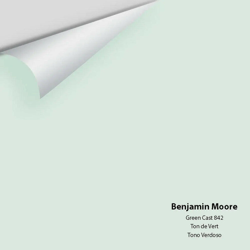 Big Paint Chip - Green Cast 842