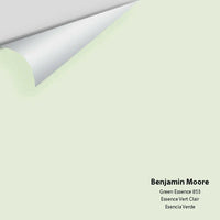 Big Paint Chip - Green Essence 853
