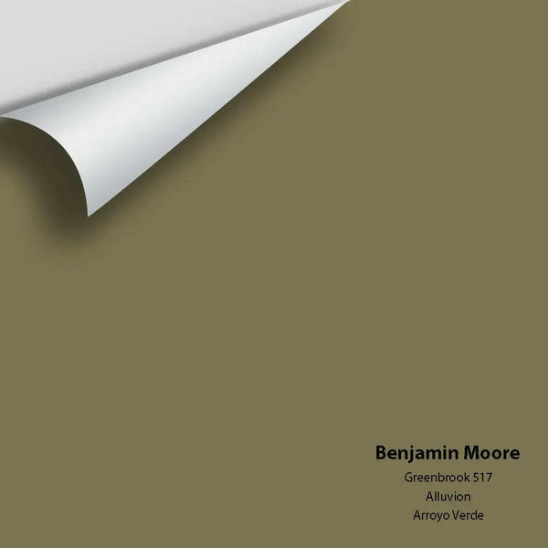 Benjamin Moore - Greenbrook 517 Colour Sample