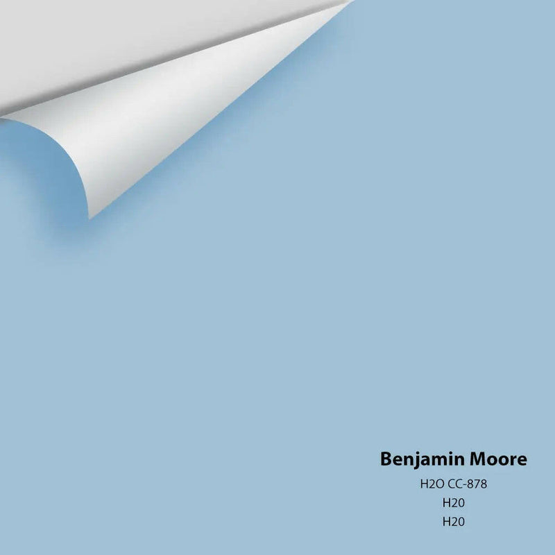 Big Paint Chip - H2O CC-878