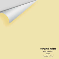 Big Paint Chip - Harp Strings 213
