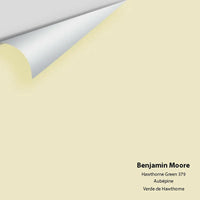 Big Paint Chip - Hawthorne Green 379