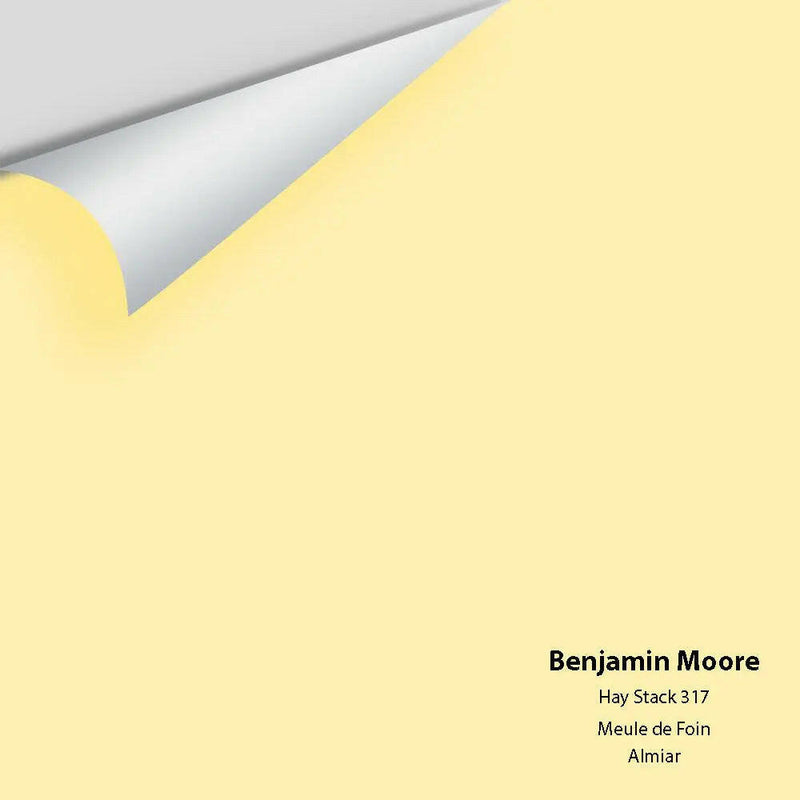 Benjamin Moore - Hay Stack 317 Colour Sample