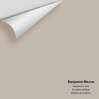 Big Paint Chip - Hazlewood 1005 Colour Sample