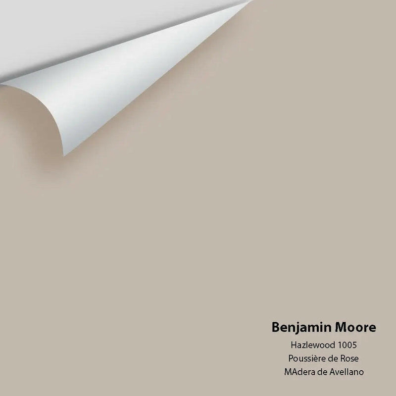 Big Paint Chip - Hazlewood 1005 Colour Sample