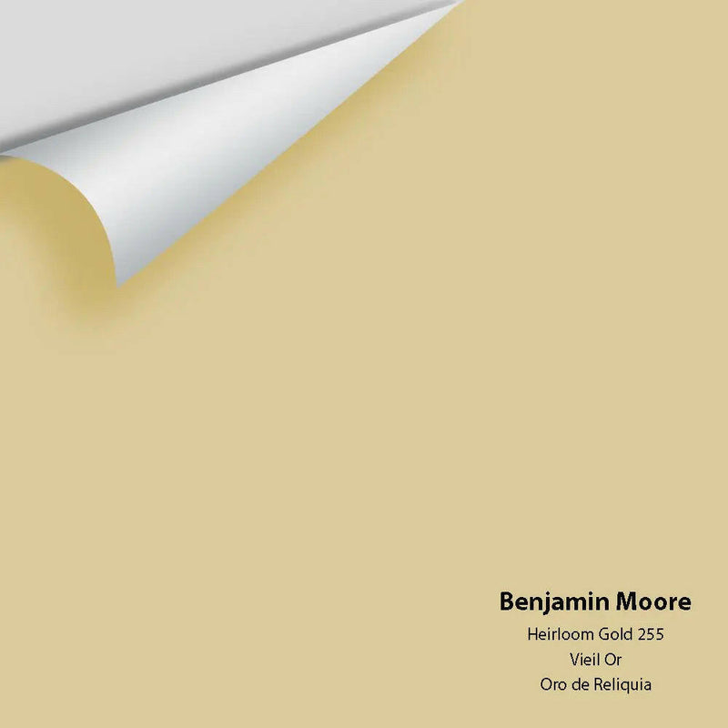 Big Paint Chip - Heirloom Gold 255