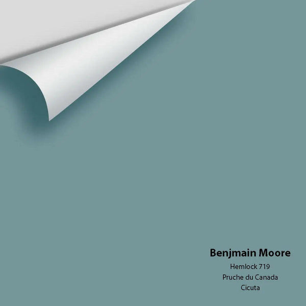 Big Paint Chip - Hemlock 719