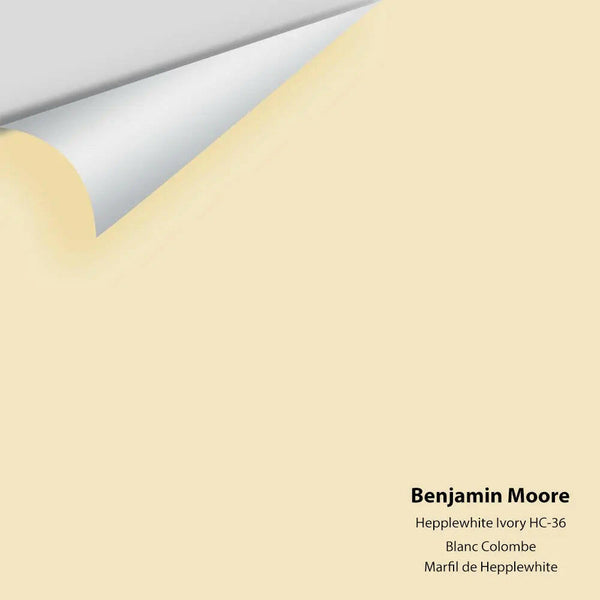 Big Paint Chip - Hepplewhite Ivory HC-36