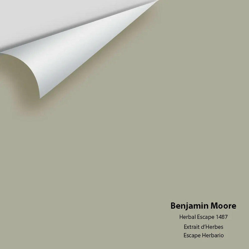 Benjamin Moore - Herbal Escape 1487 Colour Sample