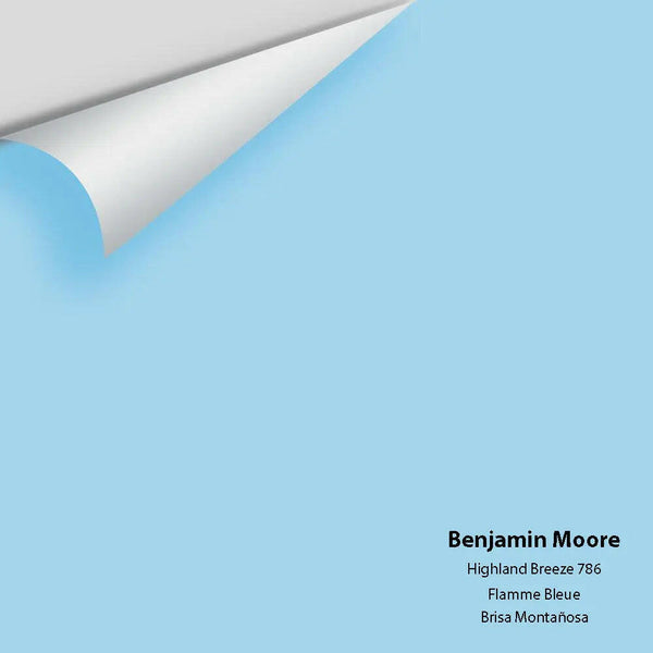 Big Paint Chip - Highland Breeze 786