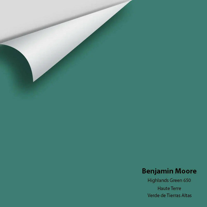 Big Paint Chip - Highlands Green 650