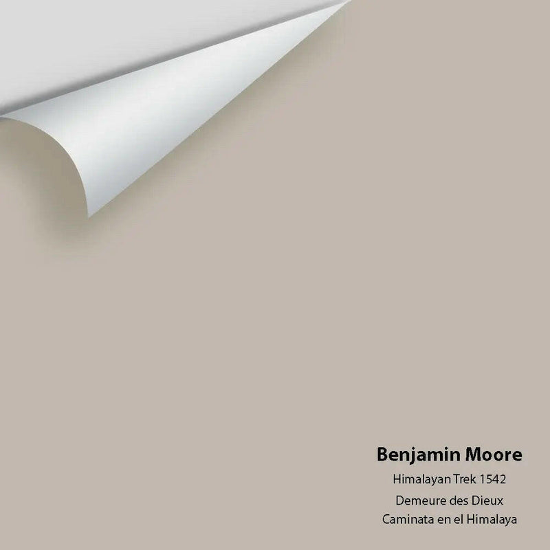 Benjamin Moore - Himalayan Trek 1542 Colour Sample