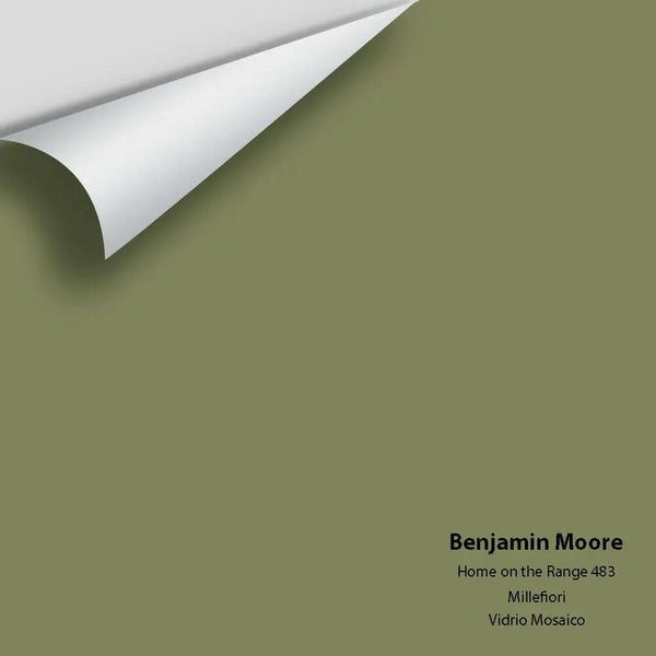 Big Paint Chip - Home on the Range 483