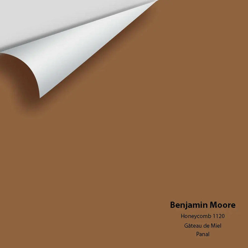 Big Paint Chip - Honeycomb 1120