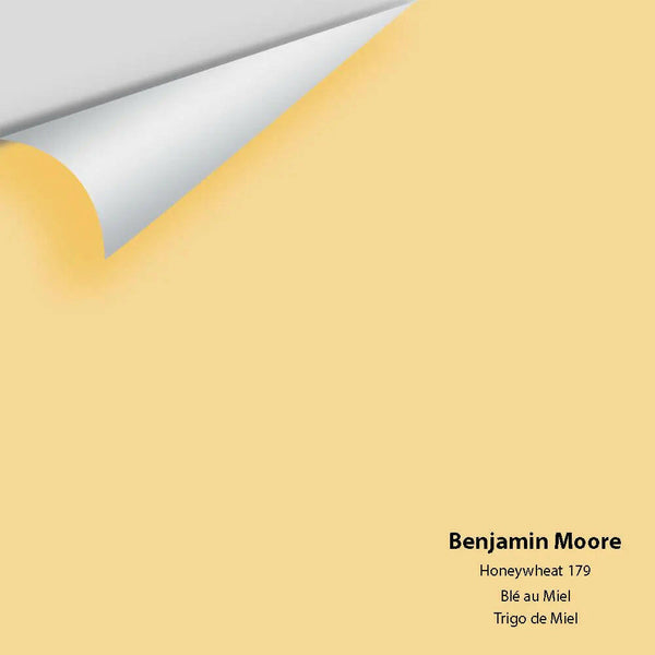 Big Paint Chip - Honeywheat 179