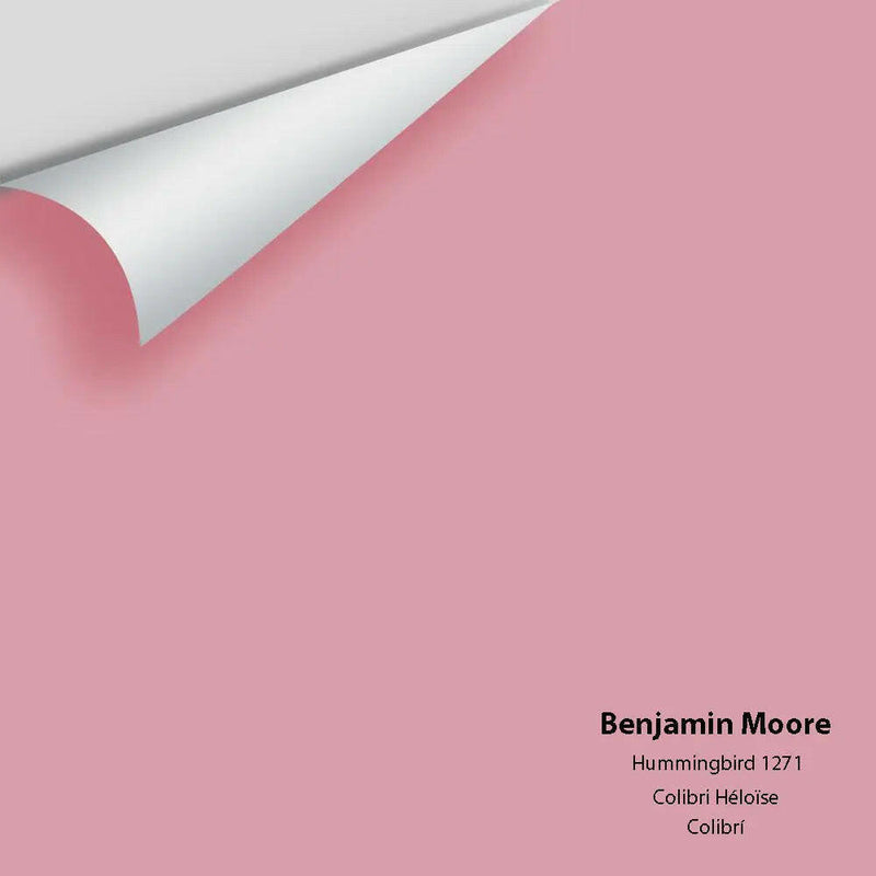 Big Paint Chip - Hummingbird 1271