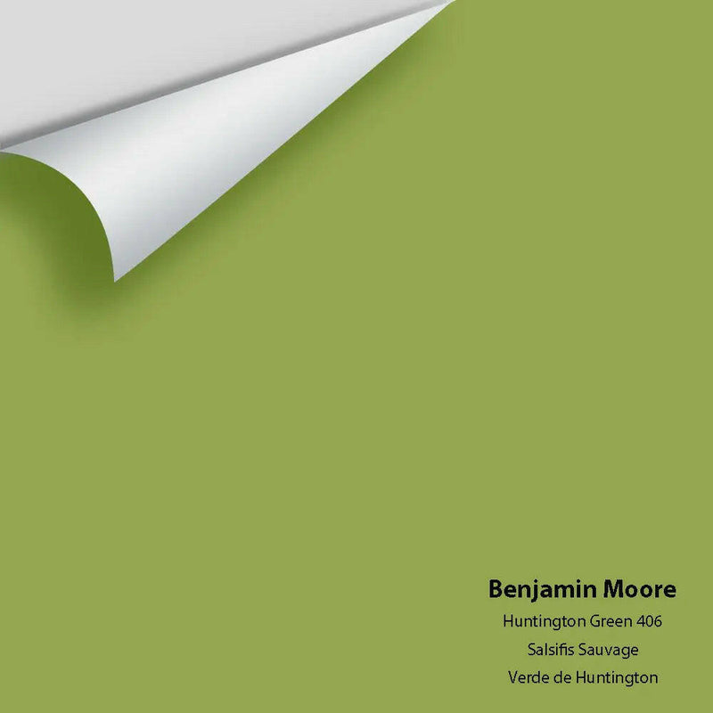 Big Paint Chip - Huntington Green 406