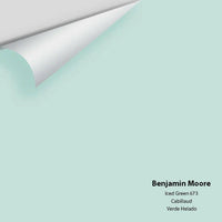 Benjamin Moore - Iced Green 673 Colour Sample