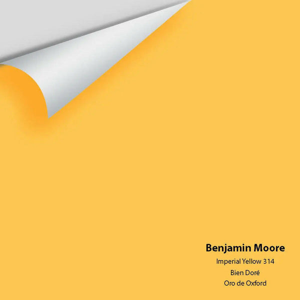 Big Paint Chip - Imperial Yellow 314