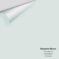 Benjamin Moore - In Your Eyes 715 Colour Sample