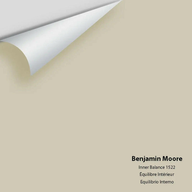 Big Paint Chip - Inner Balance 1522