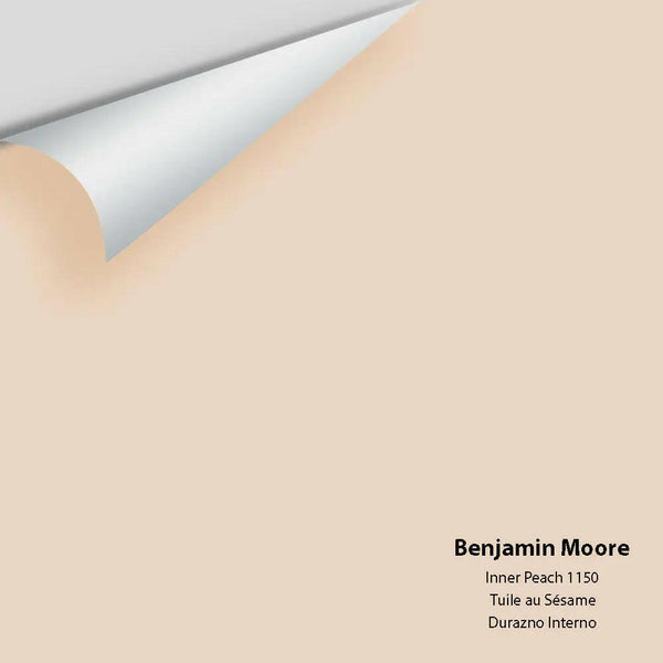 Big Paint Chip - Inner Peach 1150