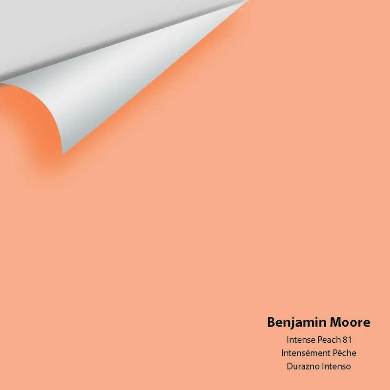 Big Paint Chip - Intense Peach 81