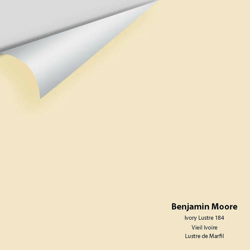 Big Paint Chip - Ivory Lustre 184