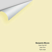 Big Paint Chip - Jasper Opal 387