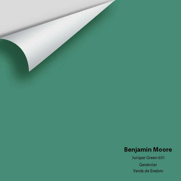 Big Paint Chip - Juniper Green 601