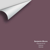 Big Paint Chip - Kalamata AF-630 - Colour Squared Inc.