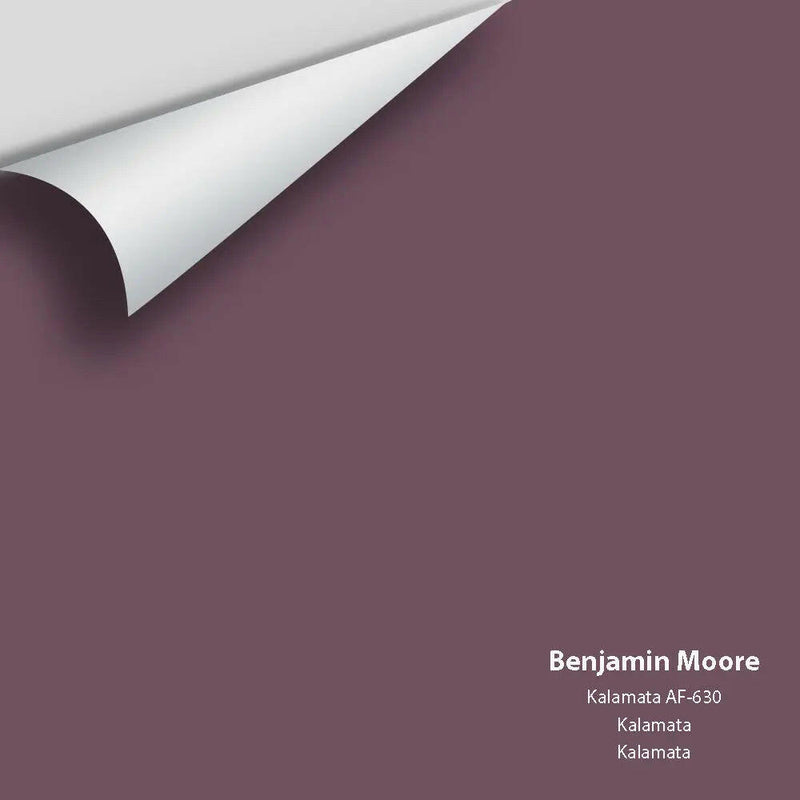 Big Paint Chip - Kalamata AF-630 - Colour Squared Inc.