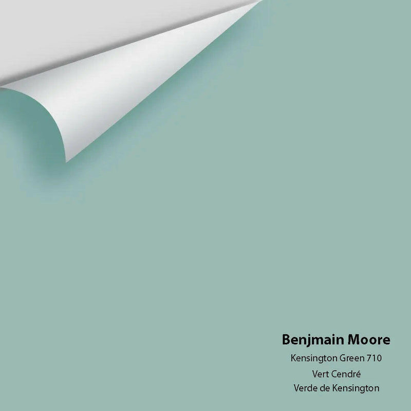 Big Paint Chip - Kensington Green 710