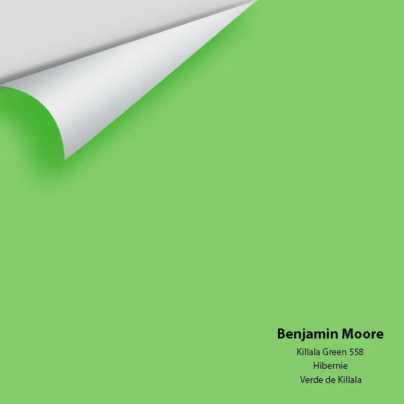 Big Paint Chip - Killala Green 558