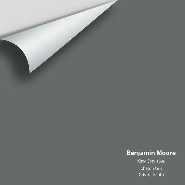 Benjamin Moore - Kitty Gray 1589 Colour Sample