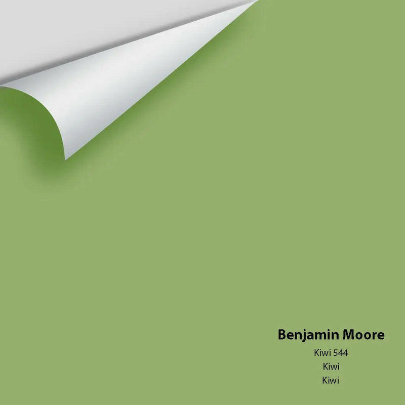 Big Paint Chip - Kiwi 544