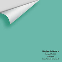 Big Paint Chip - Kokopelli Teal 648