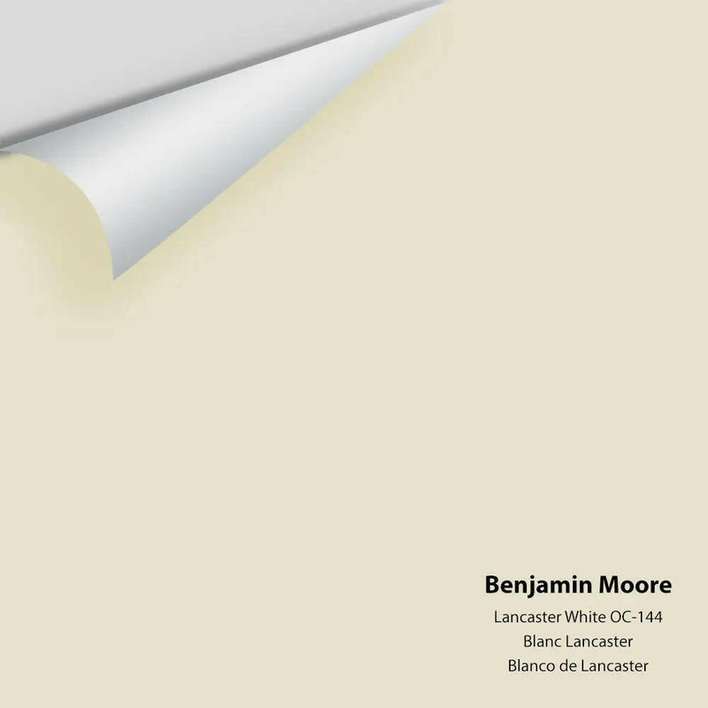 Big Paint Chip - Lancaster White OC-144