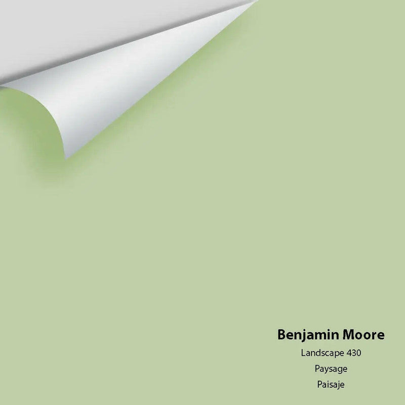 Big Paint Chip - Landscape 430