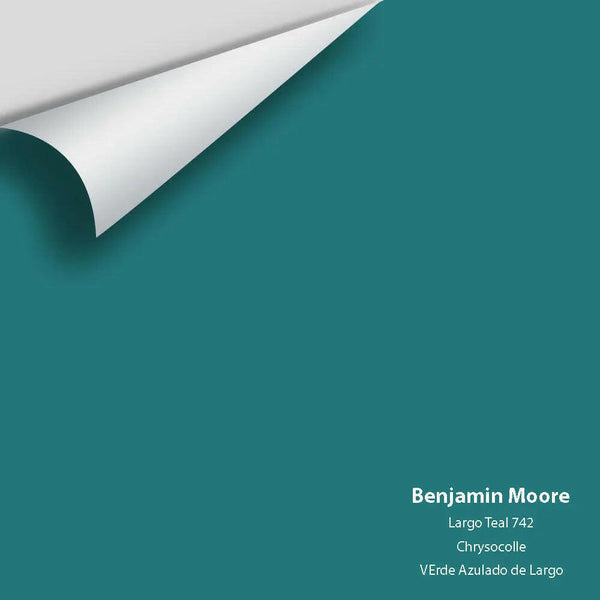 Big Paint Chip - Largo Teal 742
