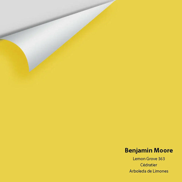 Big Paint Chip - Lemon Grove 363