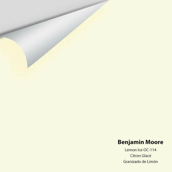Big Paint Chip - Lemon Ice 2024-70 / OC-114
