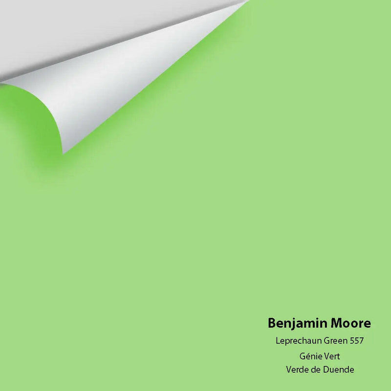 Big Paint Chip - Leprechaun Green 557