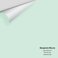 Big Paint Chip - Lido Green 617