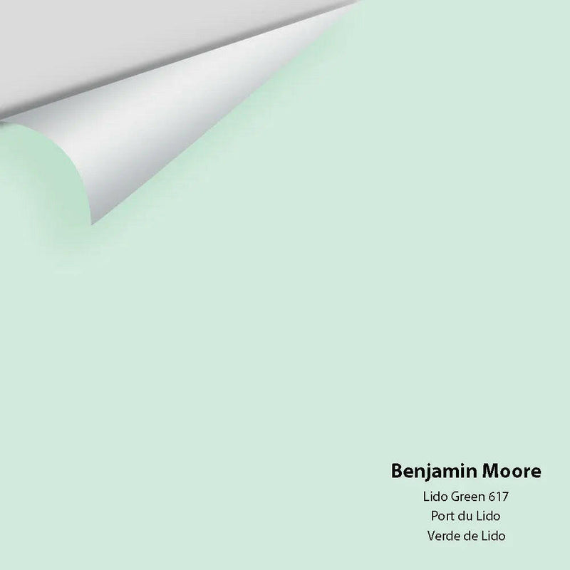 Big Paint Chip - Lido Green 617