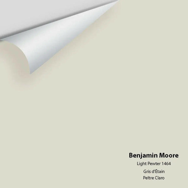 Benjamin Moore - Light Pewter 1464 Colour Sample