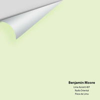 Big Paint Chip - Lime Accent 407