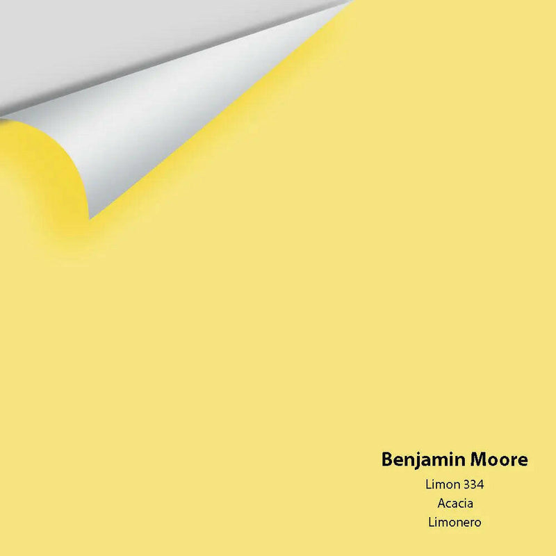 Big Paint Chip - Limon 334