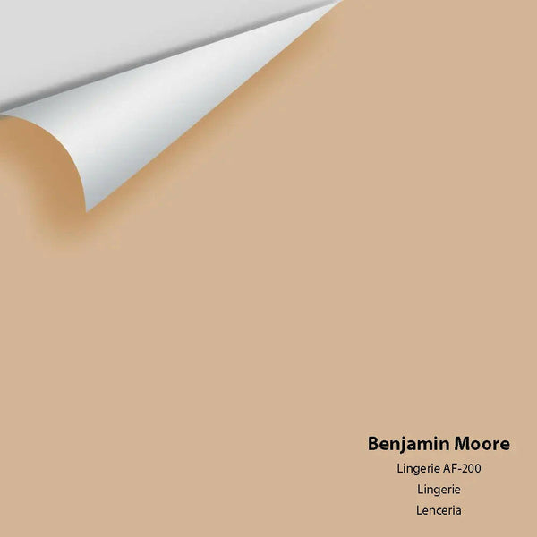 Big Paint Chip - Lingerie AF-200