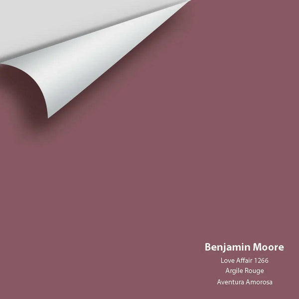 Big Paint Chip - Love Affair 1266